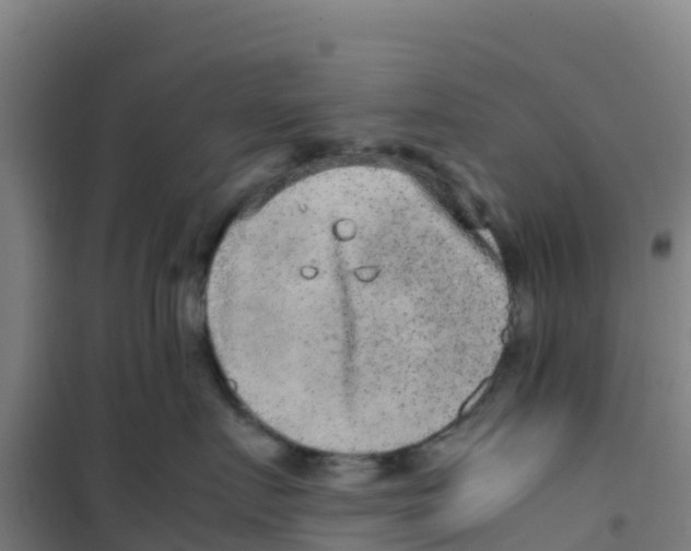 X0000100350719200807031814