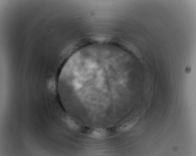 X0000100350720200807031814