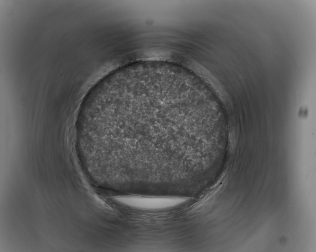 X0000100350721200807031813