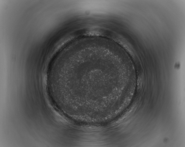 X0000100350722200807031813