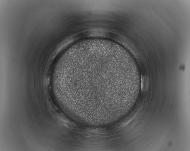 X0000100350723200807031813