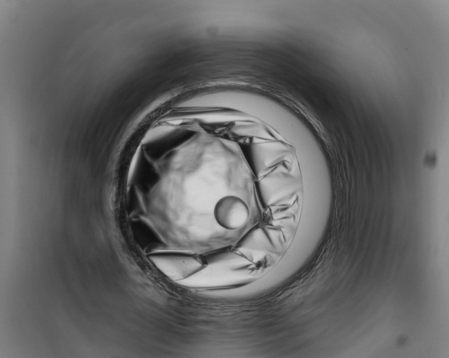 X0000100350724200807031813