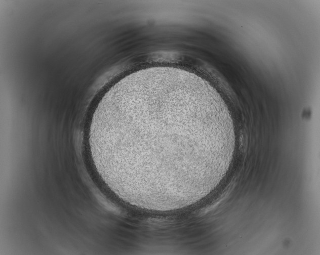 X0000100350725200807031813