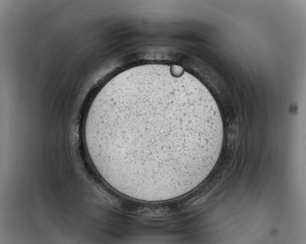 X0000100350727200807031813