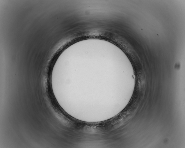 X0000100350728200807031813