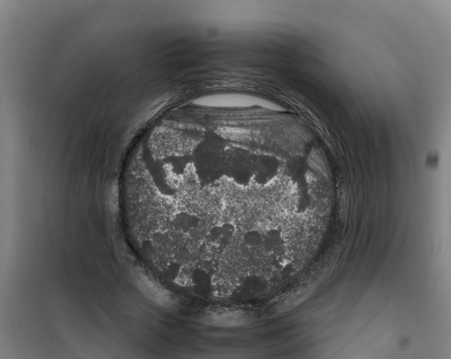 X0000100350729200807031813