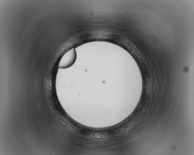 X0000100350731200807031813