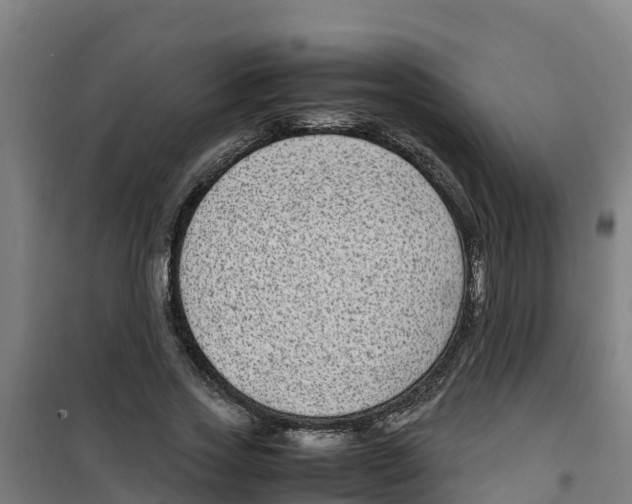 X0000100350733200807031813