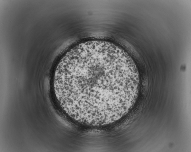 X0000100350734200807031813