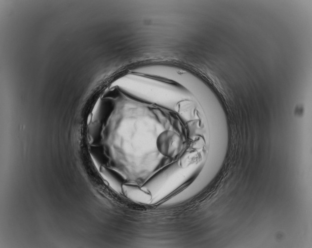 X0000100350736200807031813