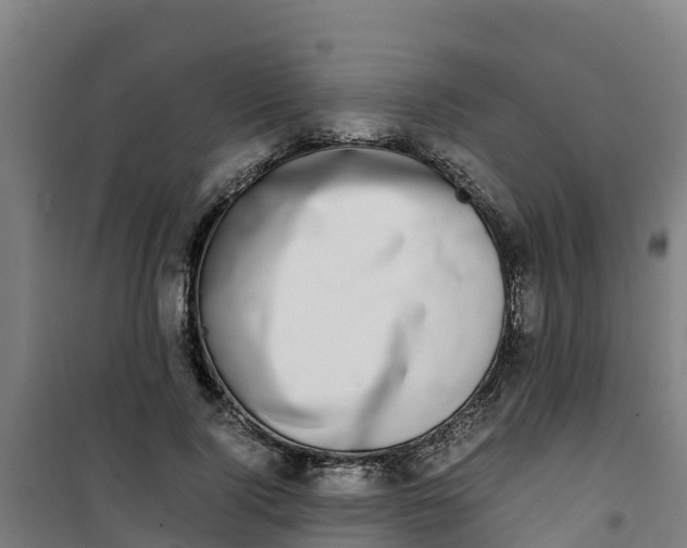 X0000100350740200807031813