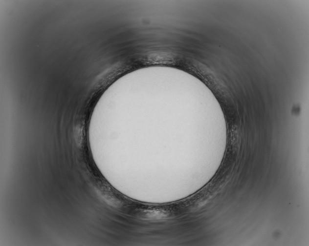 X0000100350741200807031813