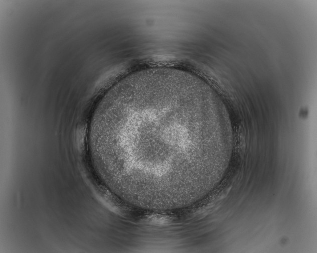 X0000100350742200807031813