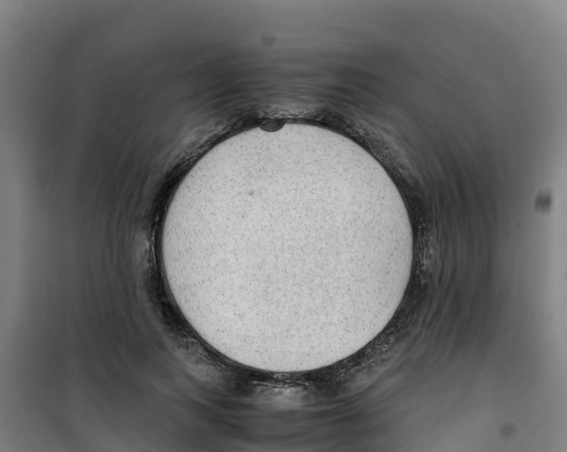 X0000100350743200807031813