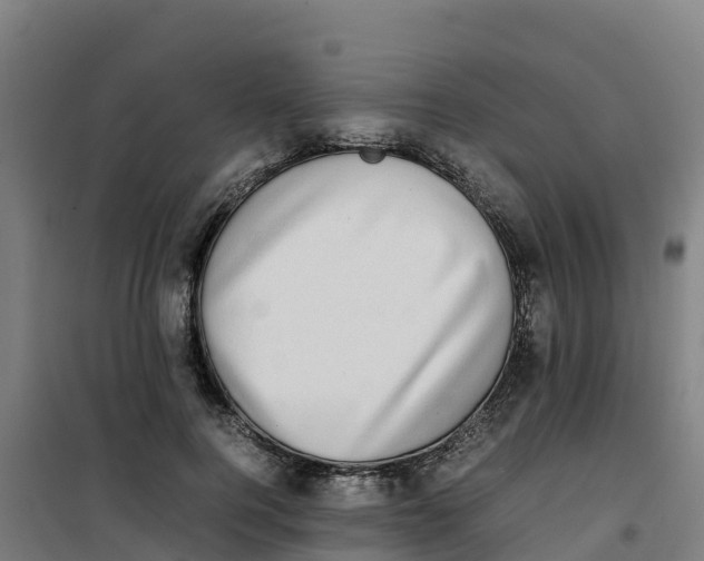 X0000100350744200807031813