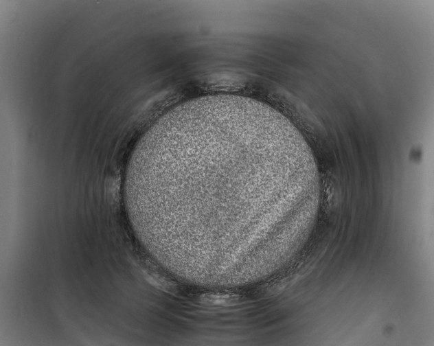 X0000100350745200807031813