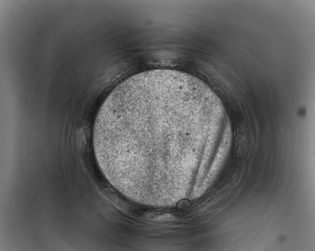 X0000100350747200807031814