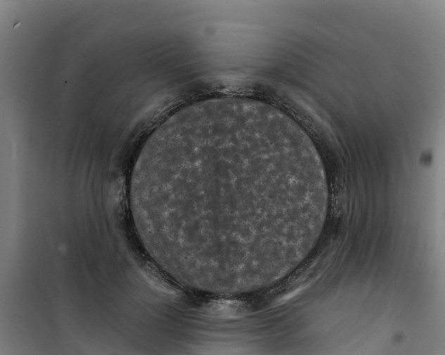 X0000100350748200807031814