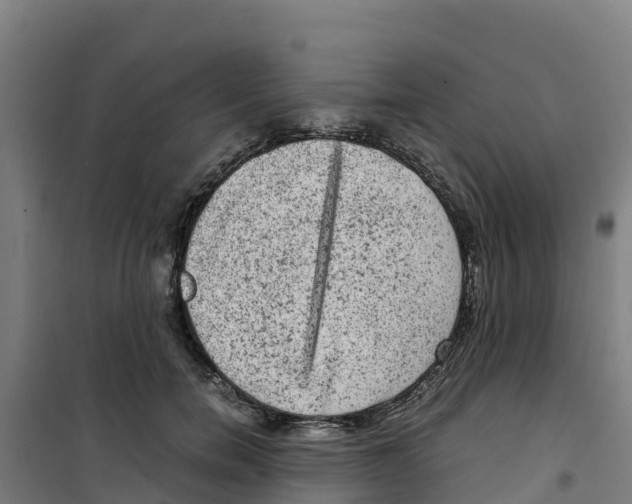 X0000100350750200807031814