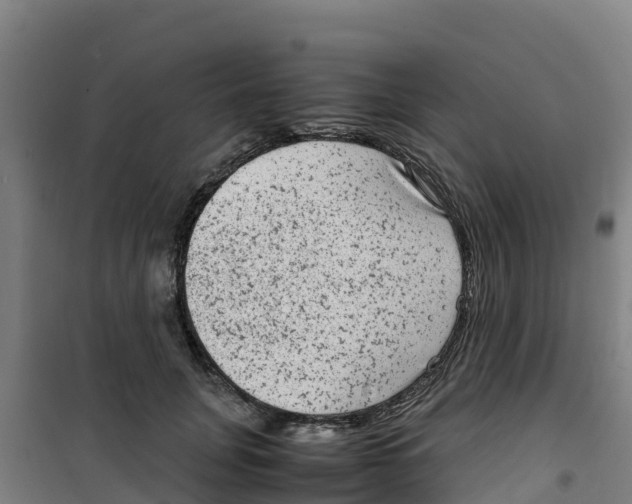 X0000100350751200807031814