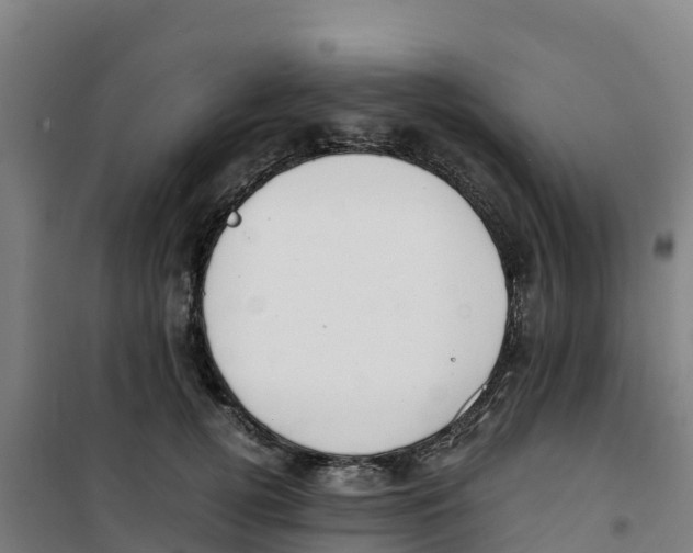 X0000100350752200807031814