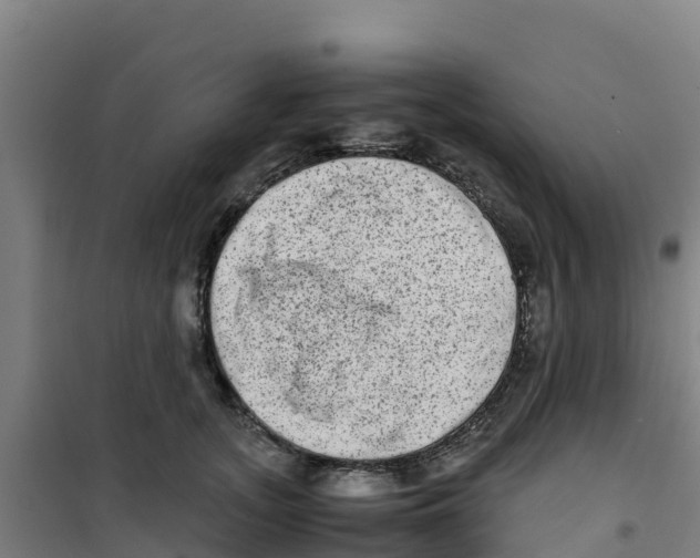 X0000100350755200807031814