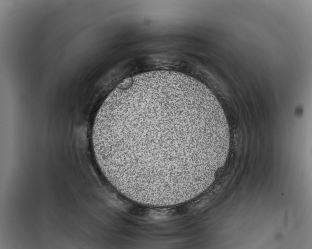 X0000100350757200807031814