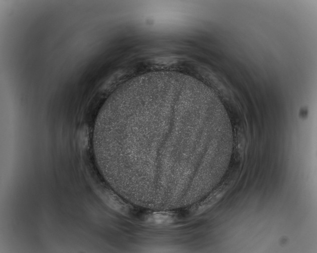 X0000100350758200807031814