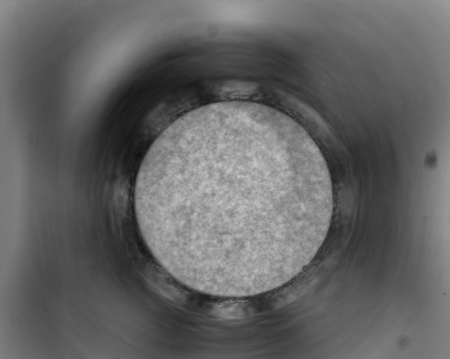 X0000100350761200807031814