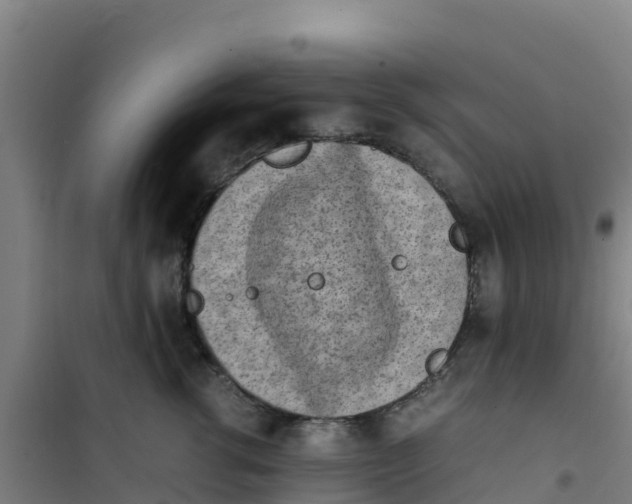 X0000100350762200807031814