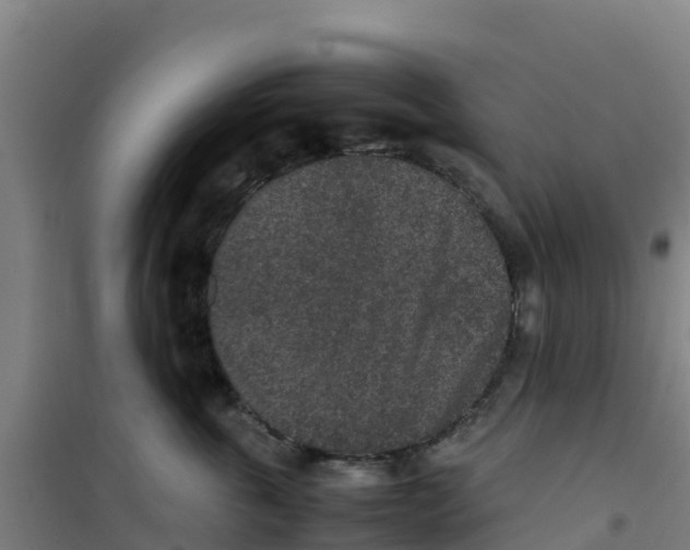 X0000100350763200807031814