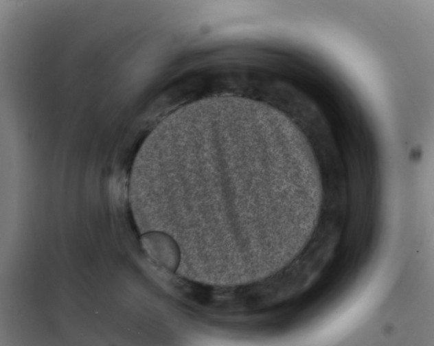 X0000100350766200807031814