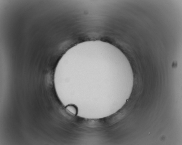 X0000100350768200807031814