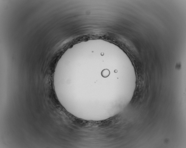 X0000100350773200807031813