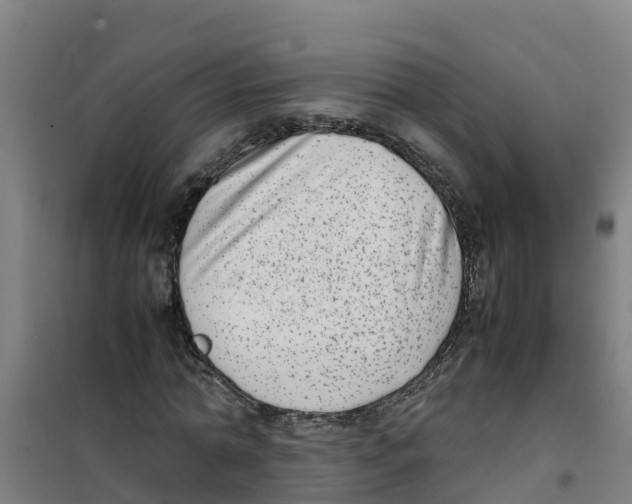 X0000100350774200807031813