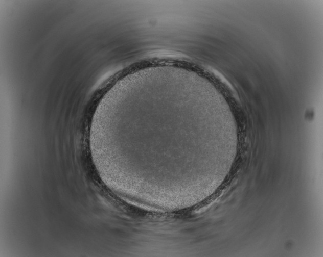 X0000100350775200807031813