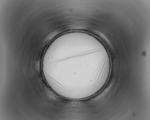 X0000100350777200807031813