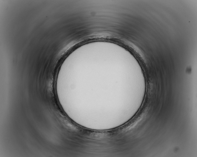 X0000100350778200807031813