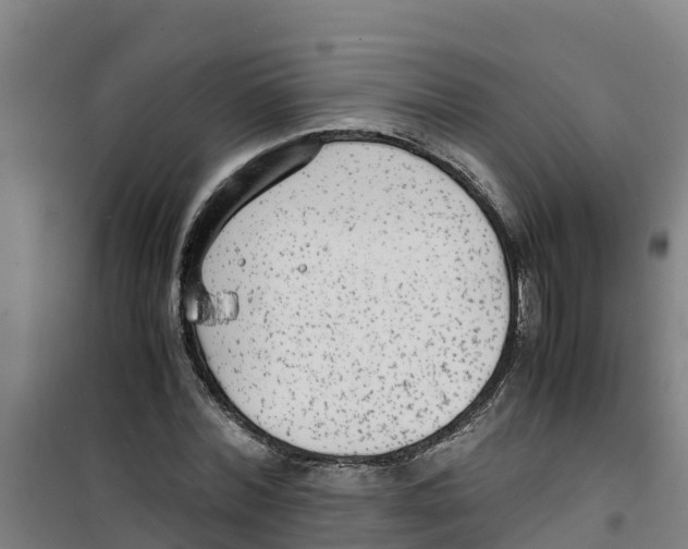 X0000100350780200807031813