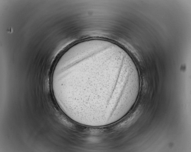 X0000100350782200807031813