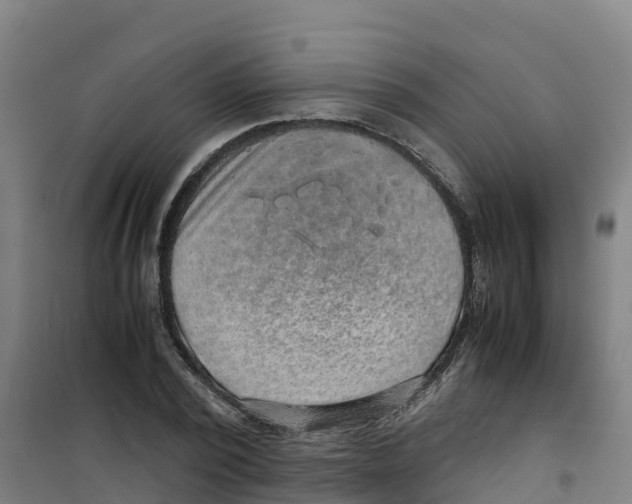 X0000100350784200807031813