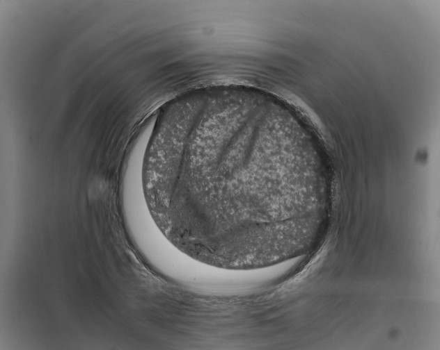 X0000100350785200807031813