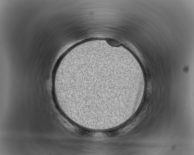 X0000100350787200807031813