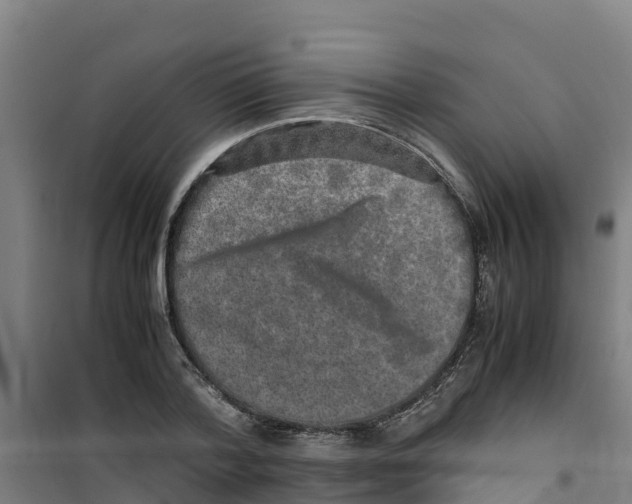 X0000100350788200807031813