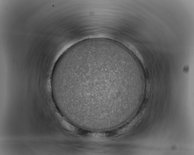 X0000100350789200807031813