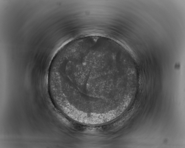 X0000100350790200807031813