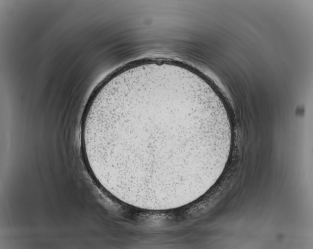 X0000100350791200807031813