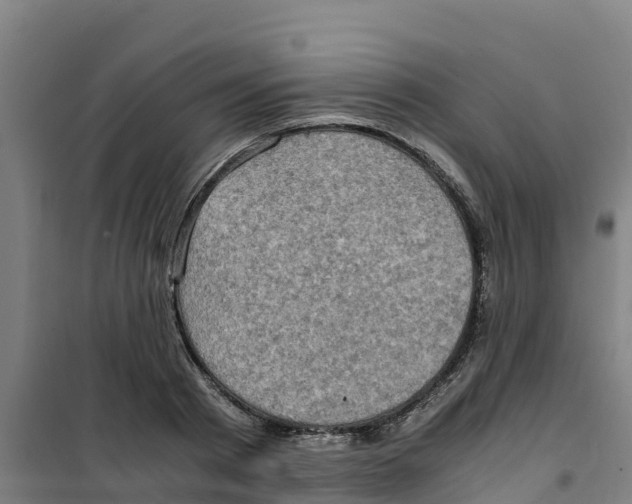 X0000100350793200807031812