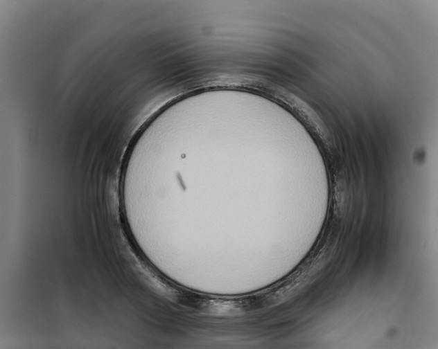 X0000100350794200807031812