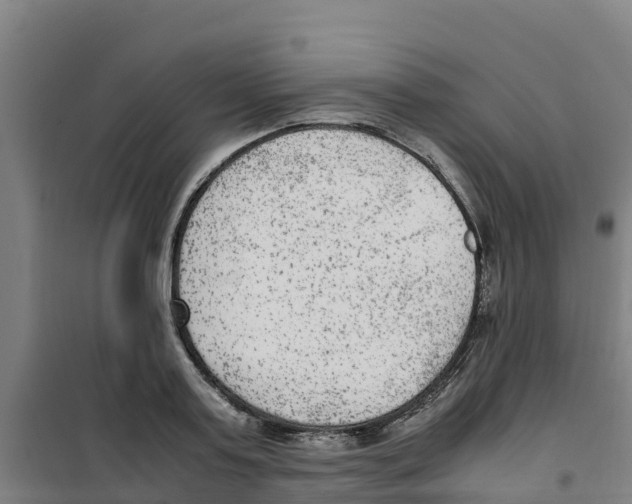 X0000100350795200807031812